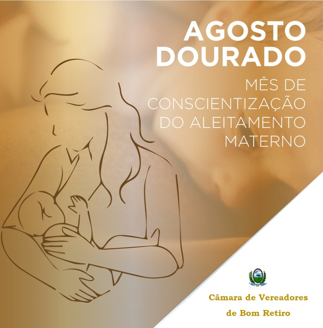 Câmara apoia Agosto Dourado