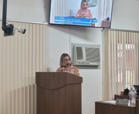 Helena pede ações visando combater a violência doméstica.